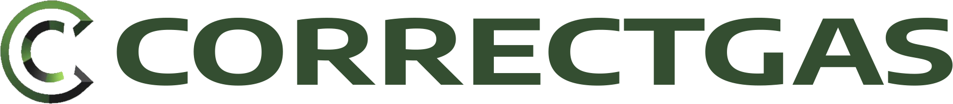 website logo